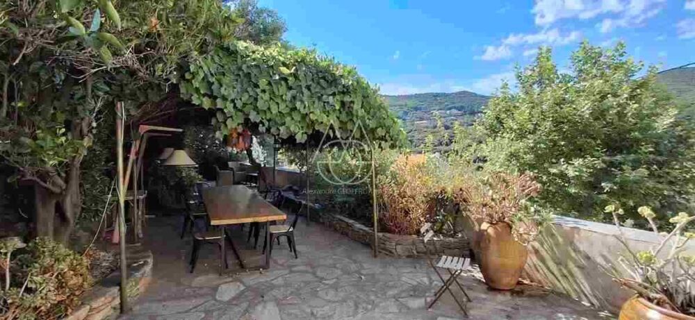 à vendre  Maison Centuri (20238)