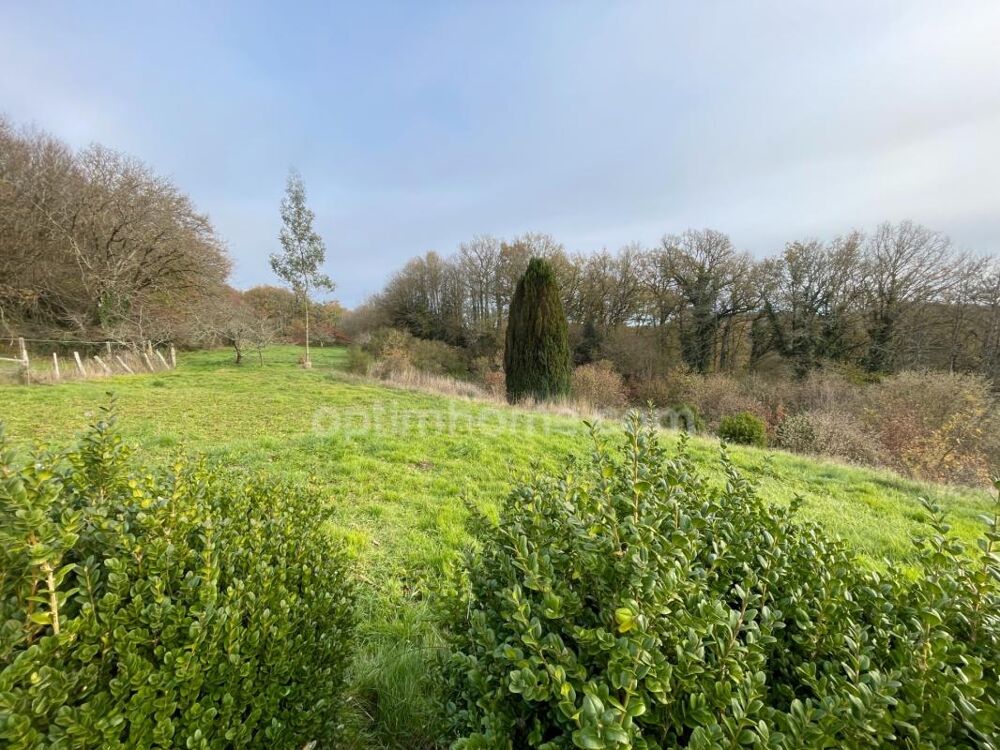 Maison en pierre avec grange et jardin de 2000 m2 et bois