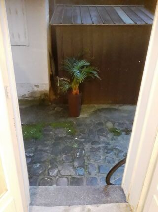  Appartement à louer 1 pièce 24 m²