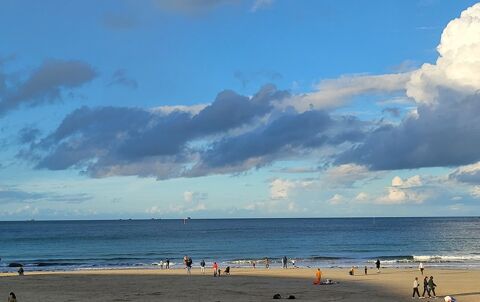   A 150m de la plage de l'Ecluse et de la Promenade du clair de Lune, T2 r�nov� de 40m� dans jolie r�sidence 1920 Appartement - 2 pi�ce(s) - 40 m�