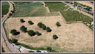  Terrain � vendre 1011 m�