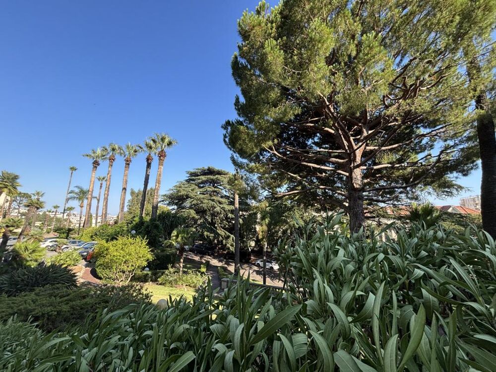 Vente Appartement Appartement Cannes