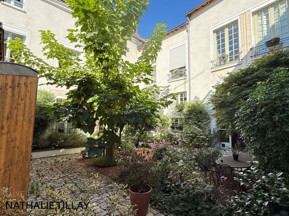 Vente Maison Orleans centre historique, maison hotel particulier, a vendre,  jardin et dependances Orleans