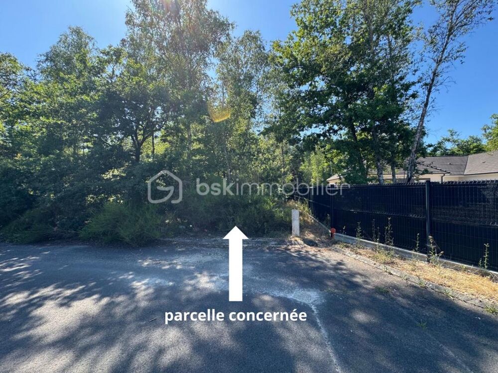 Vente Terrain Terrain de 1646 m² Nancay