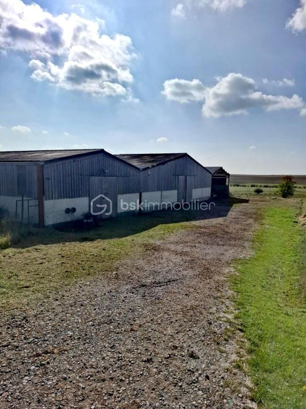 Grand bâtiment polyvalent : équestre ou agricole de plus de 2 100 m² couverts sur 6,6 hectares