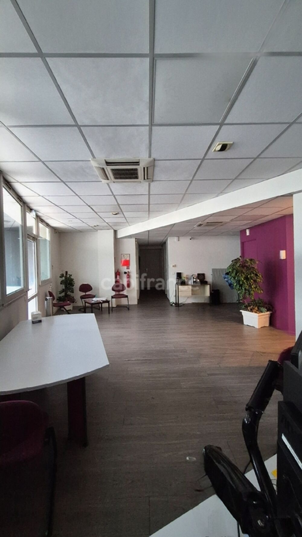   Exclusivité - Opportunité Rare - 212 m2 Locaux/bureaux à vendre TARBES (65) Tarbes
