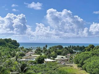  Villa à vendre 10 pièces 295 m²