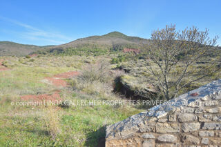  Terrain à vendre 44350 m²