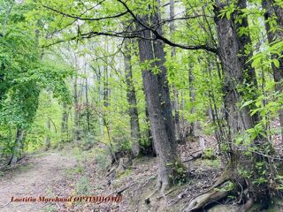  Terrain  vendre 65135 m