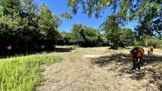  Maison � vendre 10 pi�ces 225 m�