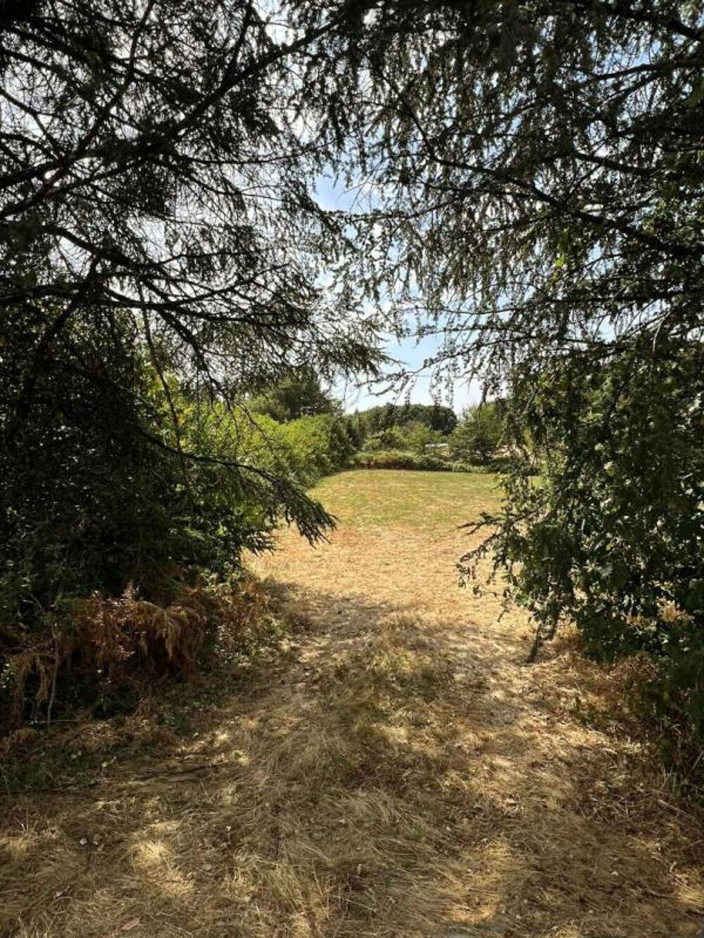 Vente Terrain Terrain La Coquille 6755 m2 La coquille