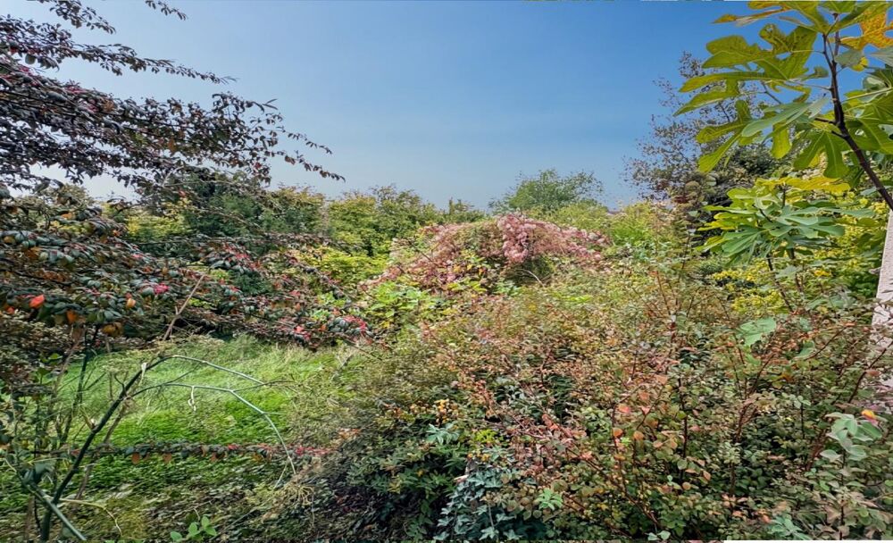 � vendre  Maison Fontenay-sous-Bois (94120)