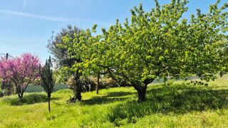  Terrain � vendre 1193 m�