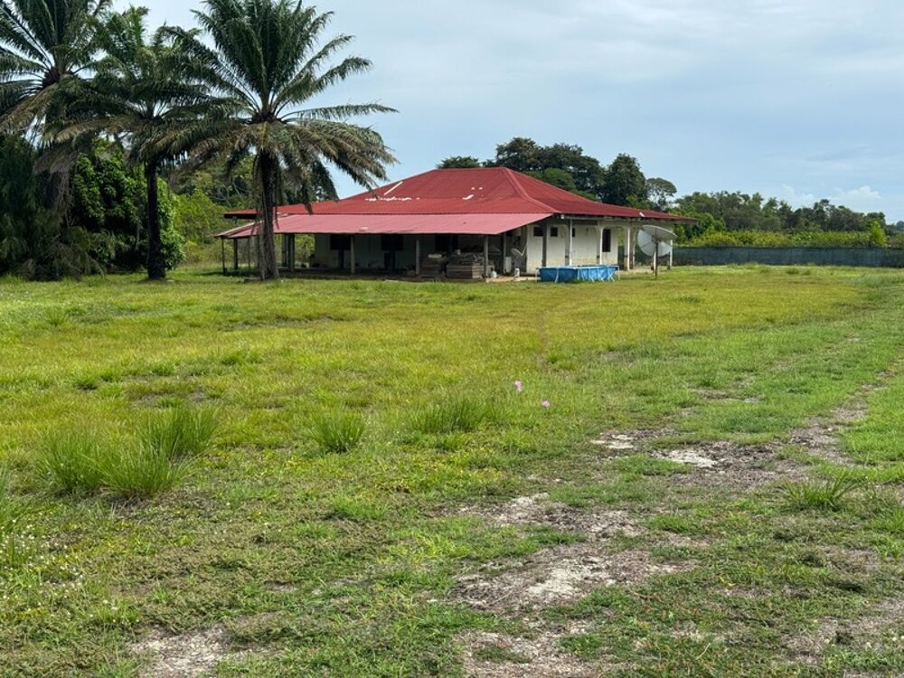 Vente Maison Exceptionnelle Maison a rénover sur une parcelle de 5000 m2 bord de RN1 Macouria Macouria