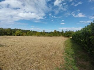  Terrain � vendre 2339 m�