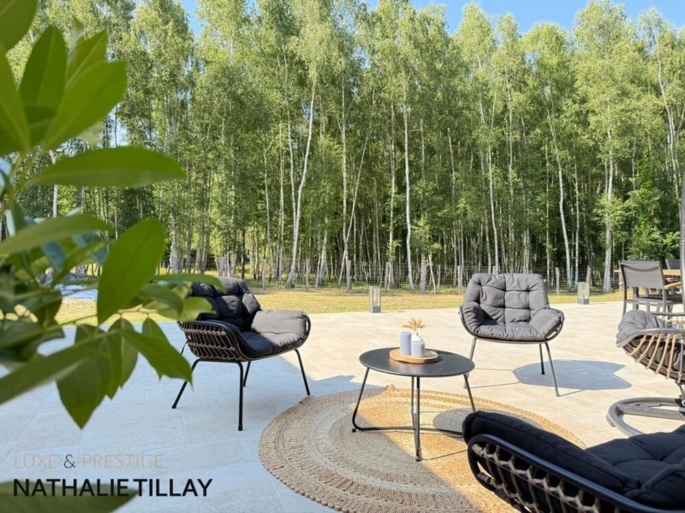  vendre  Maison Ingr (45140)