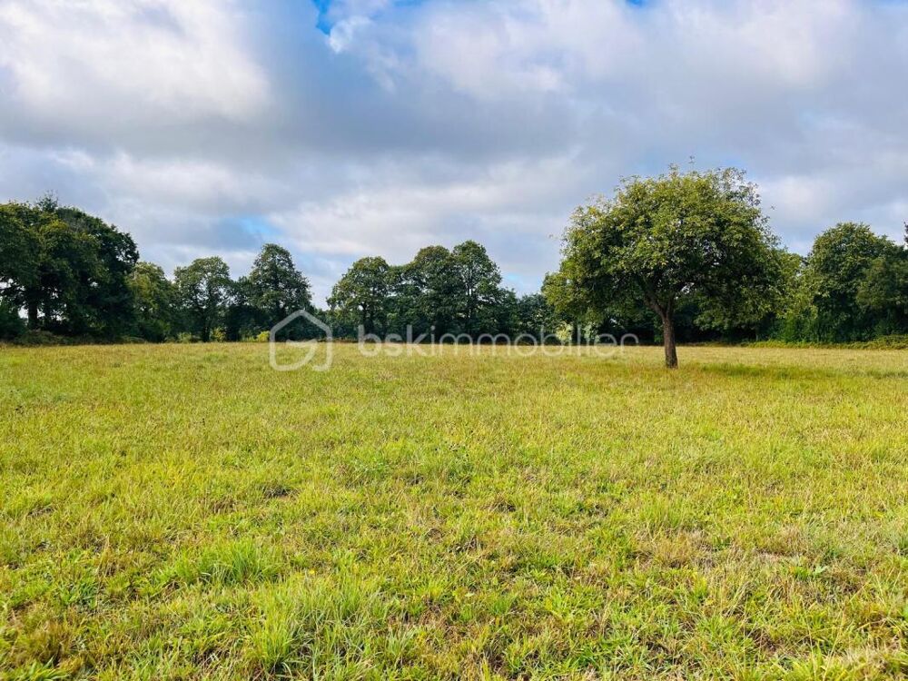 Vente Maison LONGERE et dépendances sur + de 2 HA Le chatellier