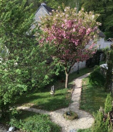  Appartement � louer 1 pi�ce 200 m�