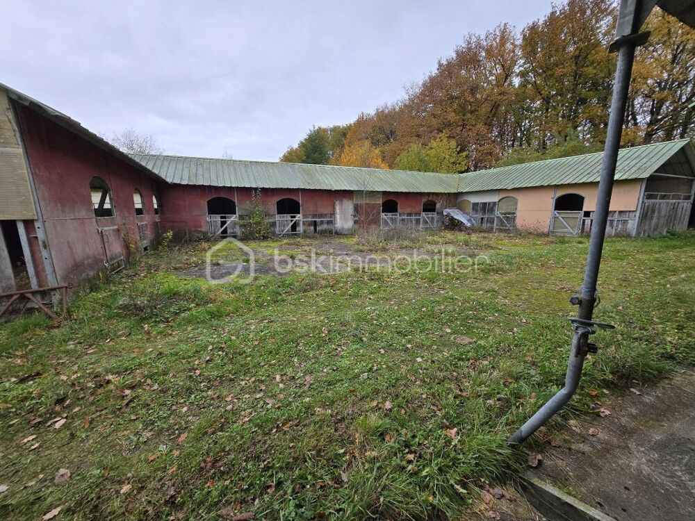 Vente Propri�t�/Ch�teau Maison Familiale Spacieuse de 216 m� avec Piscine, Box � Chevaux et Grand Terrain ? Venizy