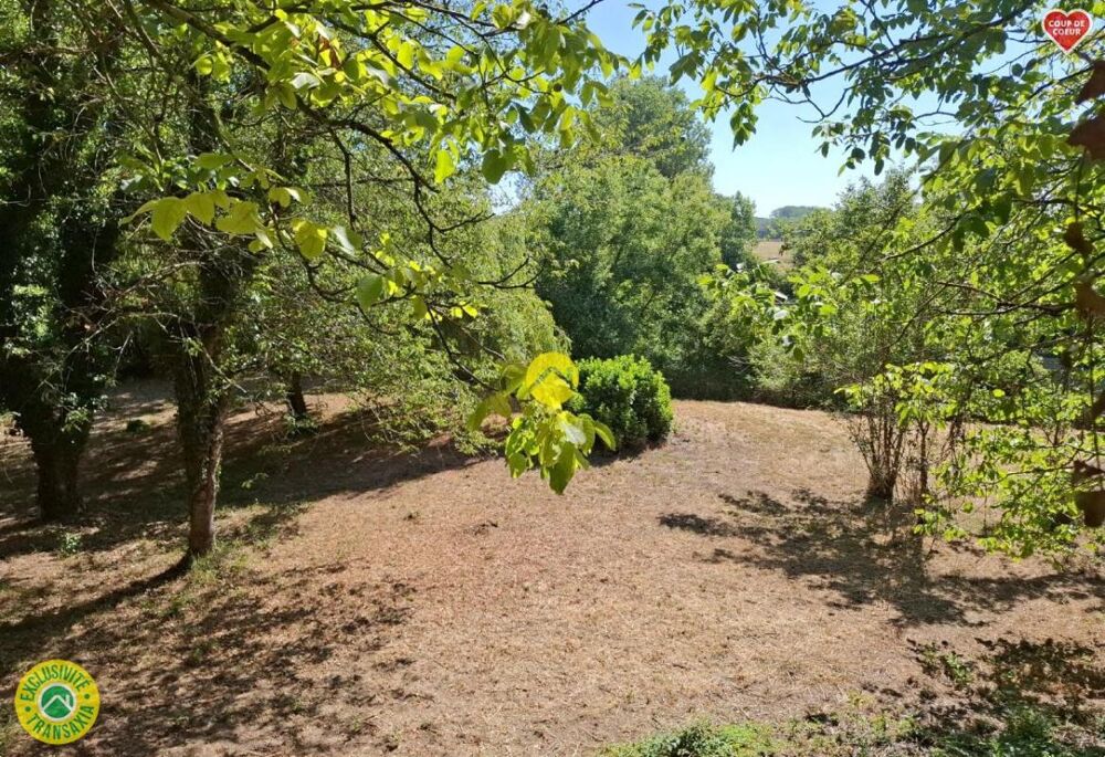 Vente Terrain Terrain de Loisirs Chateauneuf sur cher