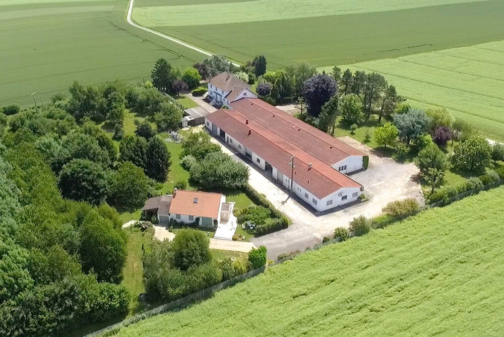 � vendre  Propri�t�/ch�teau Montdauphin (77320)