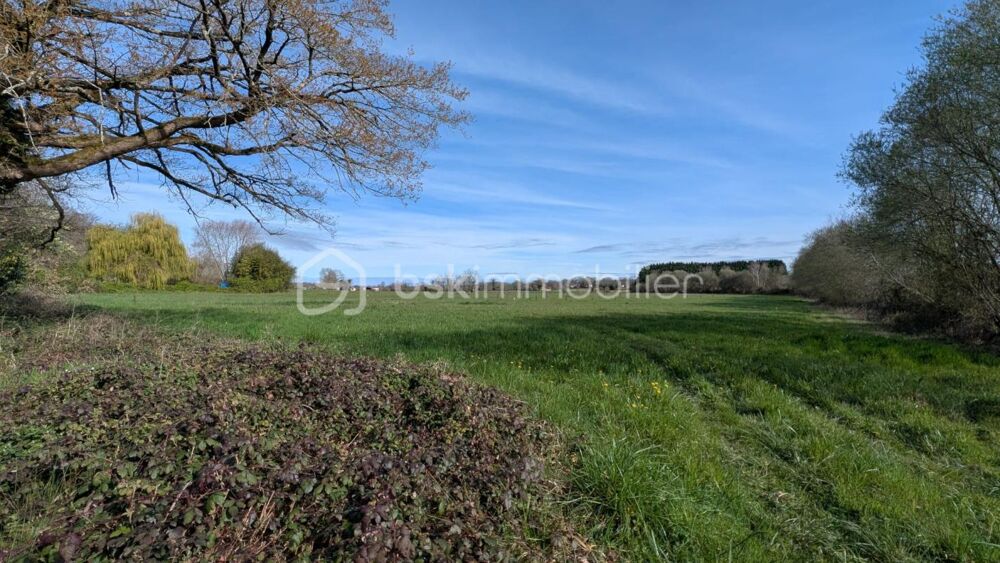 Vente Terrain Terrain Morlaas