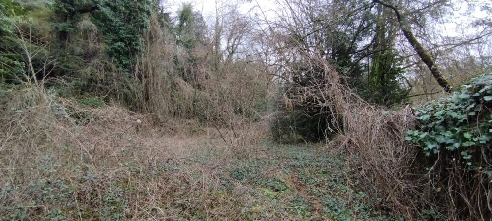 � vendre  Propri�t�/ch�teau Poitiers (86000)