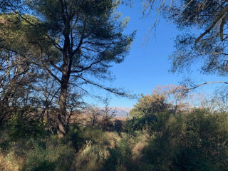  Terrain � vendre 1515 m�