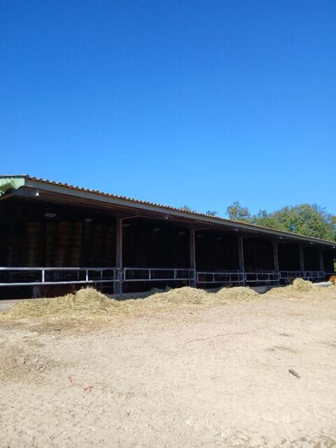   Batiment agricole et 43 hectares de terres agricoles Maison - 1 pi�ce(s) - 1800 m�