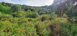  Terrain à vendre 1000 m²