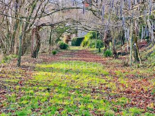  Propri�t�/ch�teau � vendre 10 pi�ces 468 m�