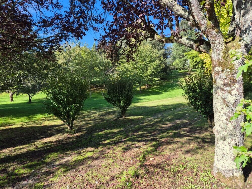 Vente Terrain Superbe emplacement, 3000 m2, secteur calme, commerces et écoles en proximité Dirac