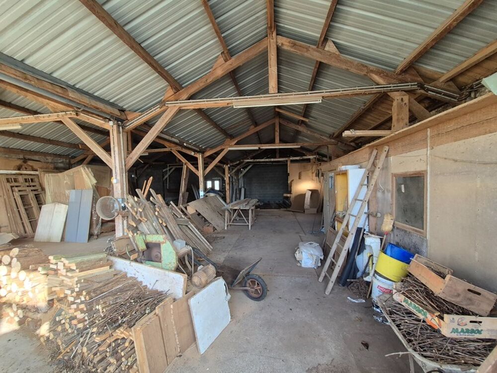 Vaste entrepôt denviron 260 m² avec garage attenant et terrain  Saint-Savinien 17350