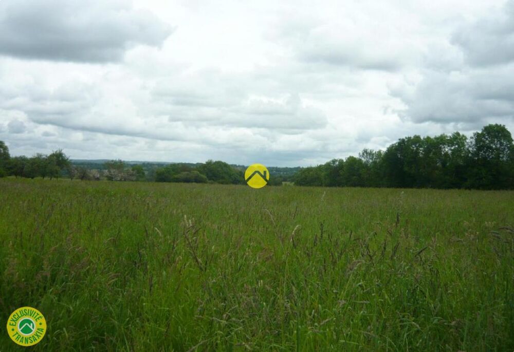 Vente Terrain 9808 M² A BATIR 5 MNS COLLEGE PROCHE ECOLE ELEC OK Dun le palestel
