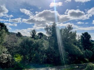  Appartement � vendre 2 pi�ces 45 m�