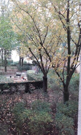  Appartement � louer 1 pi�ce 12 m�