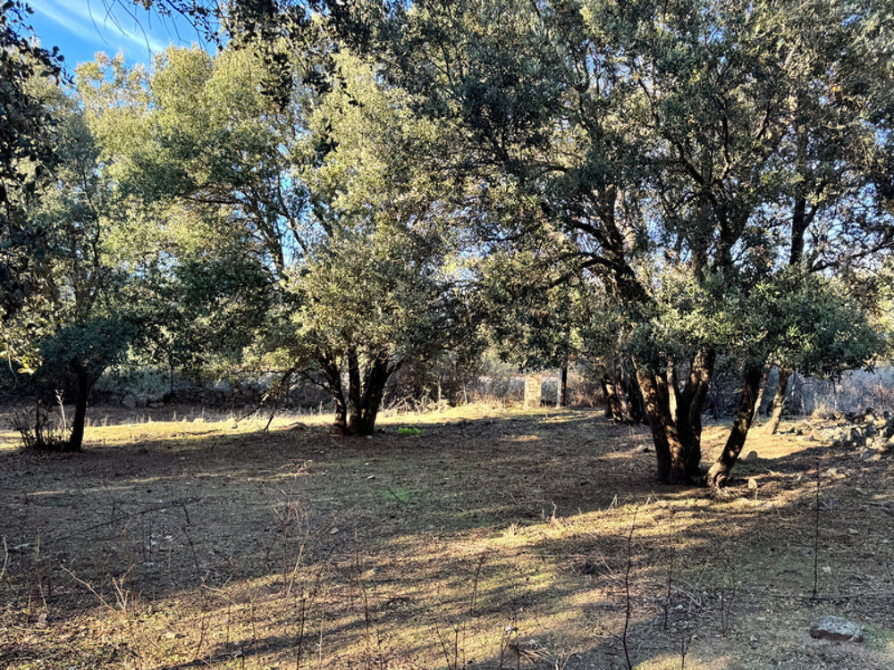 Vente Propriété/Château Terrain 3250 m2 avec batiment de 200m2 habitables à vendre, proche de L'ILE ROUSSE (20) Ville di paraso