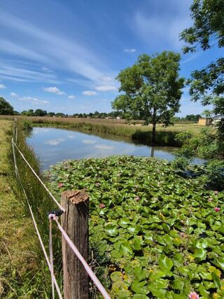  Terrain � vendre 4200 m�