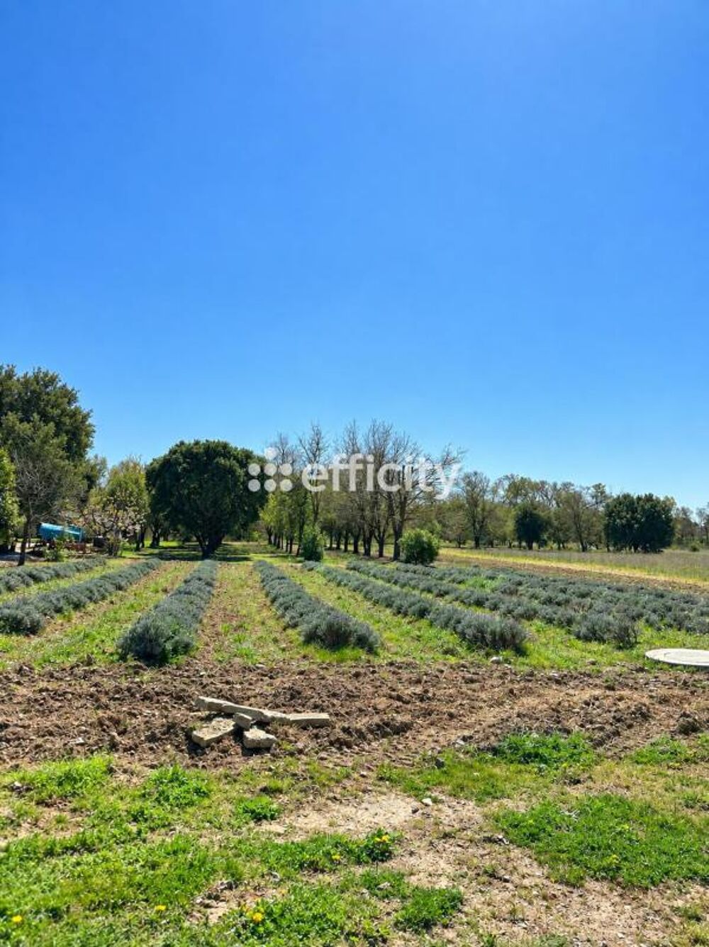 Vente Maison Mas Valreas