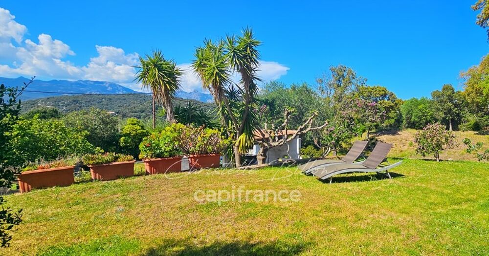 Maison à vendre T5 pièces FIGARI (20)