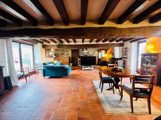  Propriété/château à vendre 15 + pièces 515 m²
