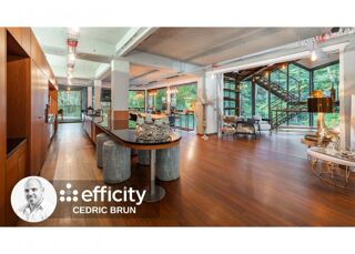  Villa  vendre 9 pices 450 m