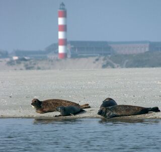  Appartement � vendre 2 pi�ces 42 m�