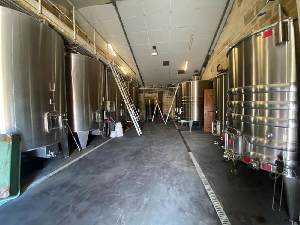  vendre  Proprit/chteau Vignonet (33330)