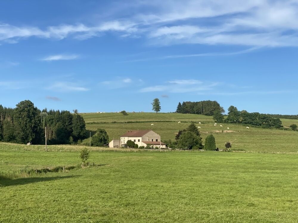 Vente Proprit/Chteau Dpt Vosges (88),  vendre ESCLES proprit T13 de 390 m environ terrain 12 hectares. Eau de source Darney
