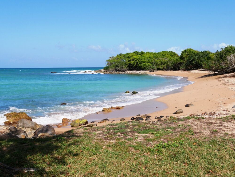 VUE MER Villa avec piscine + 5 villas créole avec piscine commune, plage à pied à Sainte Rose (971)