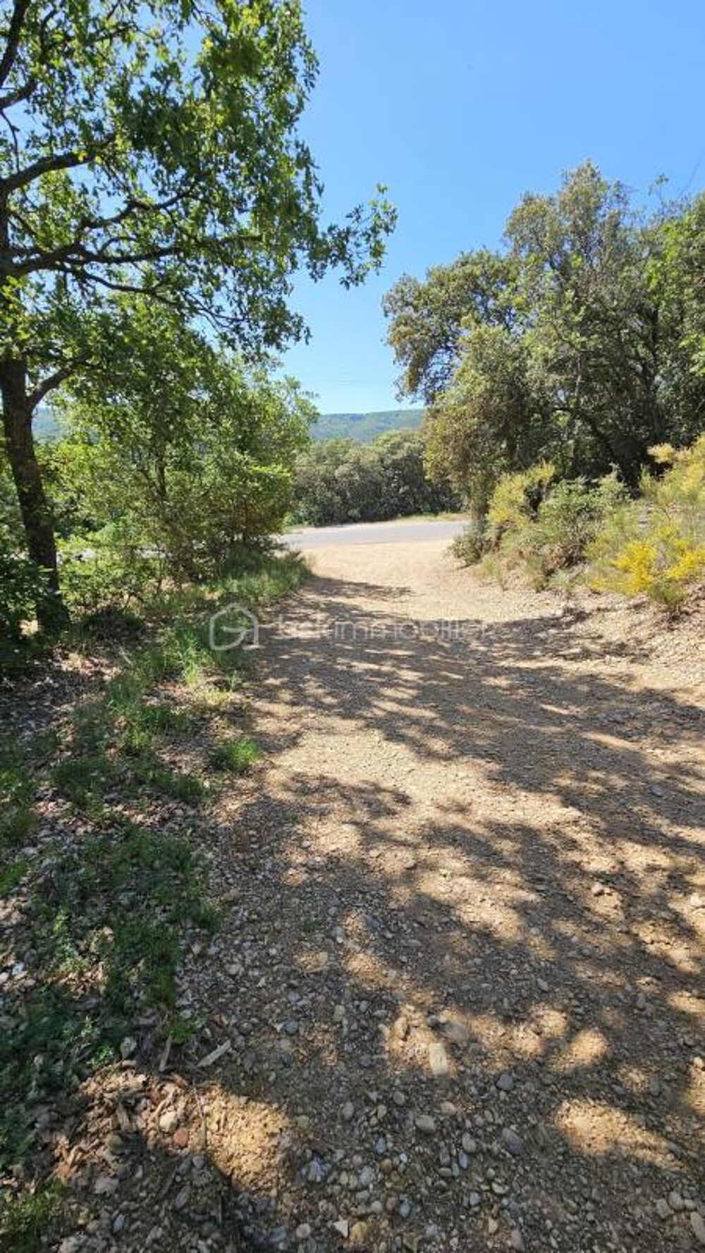 Vente Terrain TERRAIN NON CONSTRUCTIBLE - BRUNET 04210 Brunet