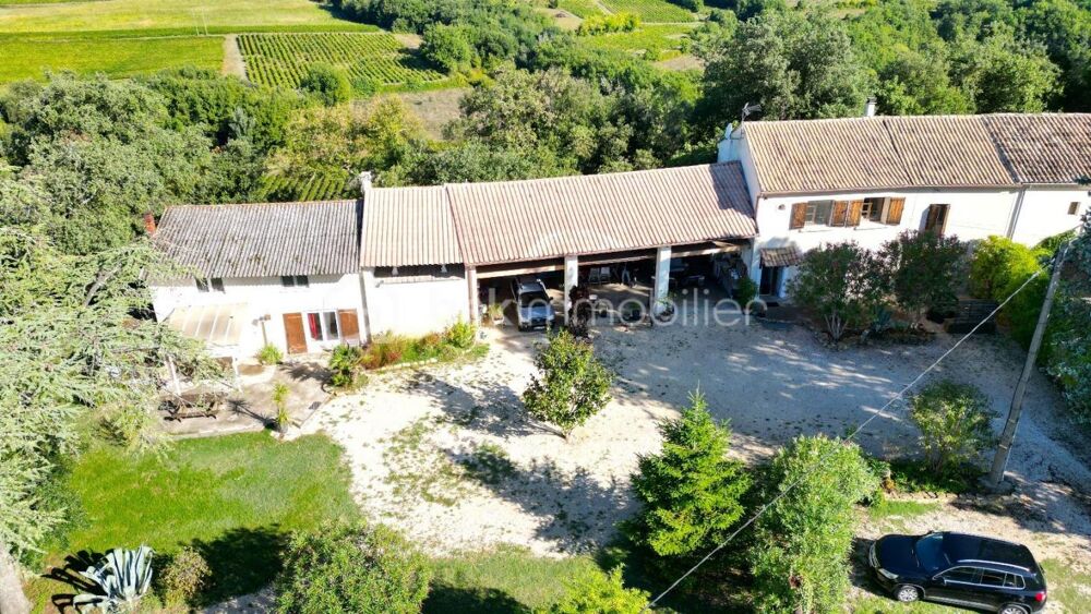 Domaine de 2,9 Hectares  Mas de 260 m²  4 Logements