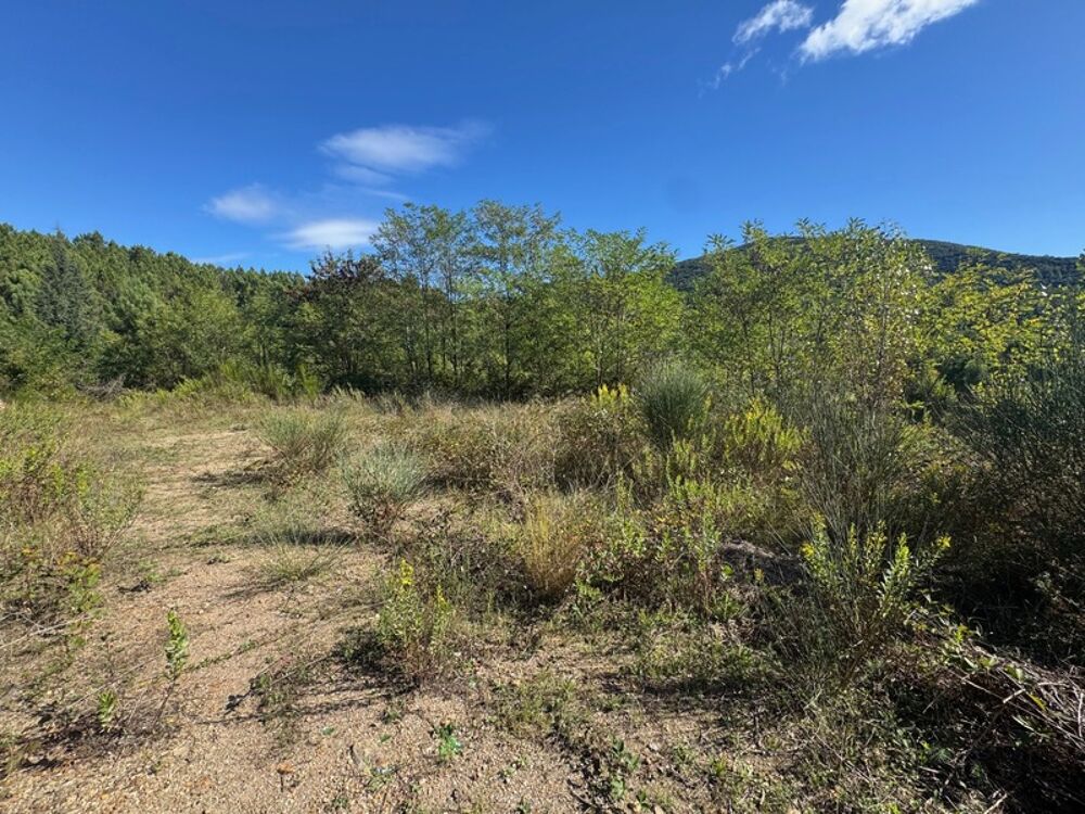 Vente Terrain Terrain � vendre  LE MARTINET (30) Le martinet