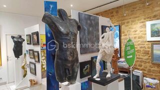  Immeuble � vendre 8 pi�ces 248 m�